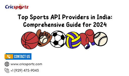 Top Sports API Providers in India: Comprehensive Guide for 2024