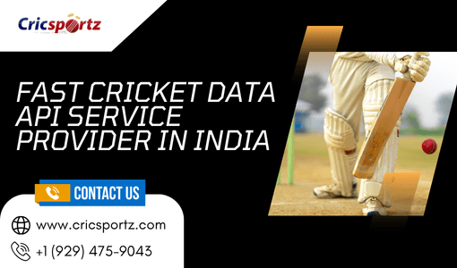 Fast Cricket Data API Service Provider in India: Cric Sportz