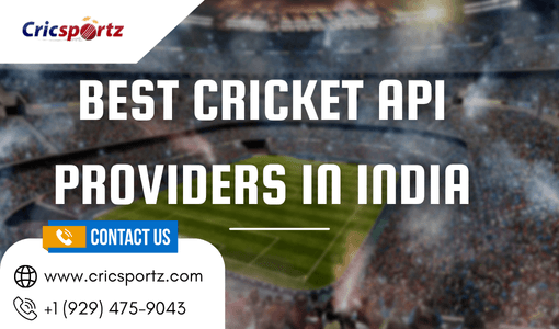 Best Cricket Api Providers In India For Real-Time Scores And Cricket Data Integration