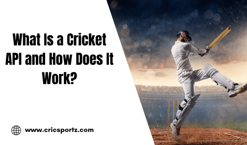 What Is a Cricket API and How Does It Work?